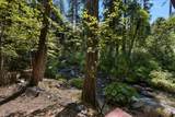 12625 Zeibright Road - Photo 18