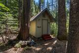 12625 Zeibright Road - Photo 24
