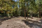 12625 Zeibright Road - Photo 34