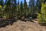 12625 Zeibright Road - Photo 35