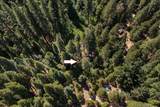 12625 Zeibright Road - Photo 36