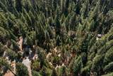 12625 Zeibright Road - Photo 39