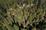 12625 Zeibright Road - Photo 42