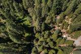 12625 Zeibright Road - Photo 43