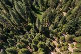 12625 Zeibright Road - Photo 44