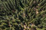 12625 Zeibright Road - Photo 45