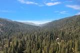 12625 Zeibright Road - Photo 47