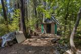 12625 Zeibright Road - Photo 5