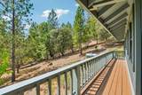 2743 Brown Bear Trail - Photo 38