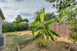 1287 Nadene Drive - Photo 42