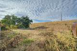 1287 Nadene Drive - Photo 45
