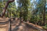 16830 Mckenzie Drive - Photo 46