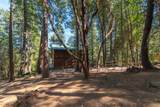16830 Mckenzie Drive - Photo 62