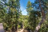 16830 Mckenzie Drive - Photo 66