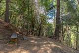 16830 Mckenzie Drive - Photo 7