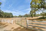 14341 Indian Springs Road - Photo 51