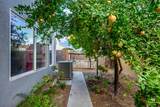 901 Alcoy Drive - Photo 30