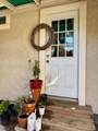 117 Palm Street - Photo 47