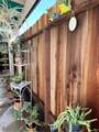 117 Palm Street - Photo 51