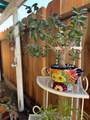 117 Palm Street - Photo 58