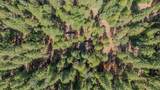 19565 Forest View Circle - Photo 45