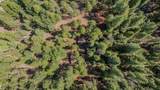 19565 Forest View Circle - Photo 46