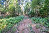7401 Schaad Road - Photo 80