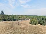 5900 Garden Valley Road - Photo 47
