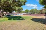 2251 Sampson Street - Photo 42