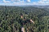 5299 Sierra Springs Drive - Photo 43