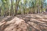 15006 Fountain House Road - Photo 22
