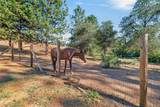 4040 Mount Rushnomore Road - Photo 77