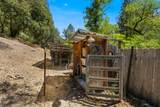 1040 Dog Bar Road - Photo 54