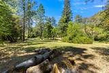 1040 Dog Bar Road - Photo 63