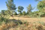 536 Lupine Drive - Photo 41