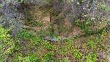 11657 Deerlick Road - Photo 47