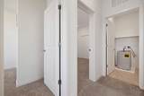997 Pipit Street - Photo 38