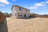 997 Pipit Street - Photo 42