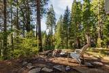 20429 Scotts Flat Road - Photo 42