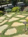 110 Egret Place - Photo 19