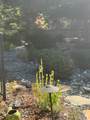 110 Egret Place - Photo 21