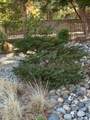 110 Egret Place - Photo 22