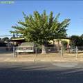1528 9th Street - Photo 7