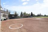 1290 Shady Pines Street - Photo 39