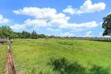 10450 Walnut Grove Road - Photo 49
