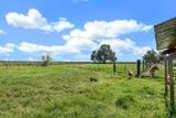 10450 Walnut Grove Road - Photo 51