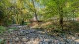16918 Sutter Creek Road - Photo 51