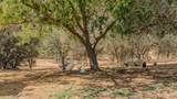 4863 Messing Road - Photo 8