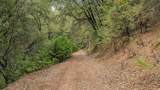 12511 Tabeaud Road - Photo 70