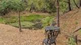 12511 Tabeaud Road - Photo 72